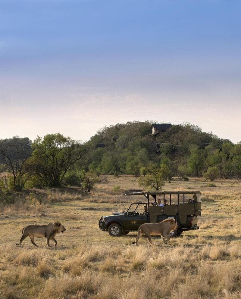 Tshukudu Bush Lodge (Adults only) 5