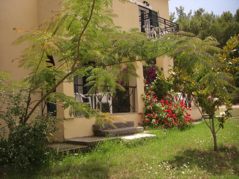 Zeus Hotel 5