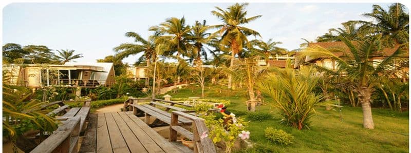 Palm Paradise Resort photo 1