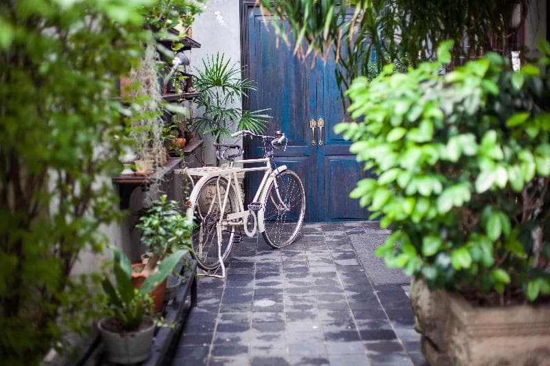 The Scent Hotel 3