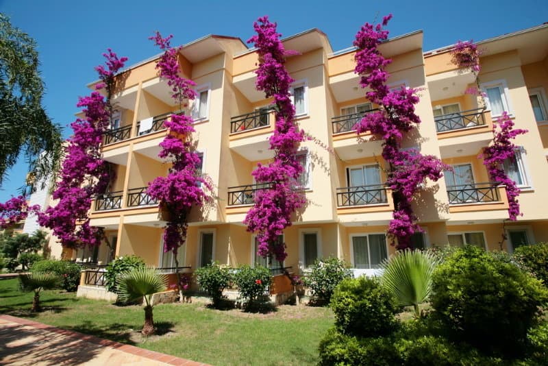Club Dizalya photo 1