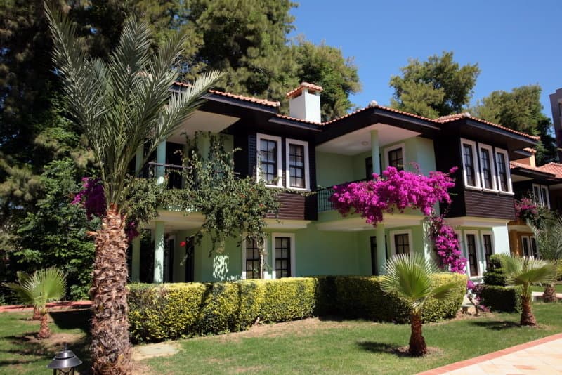 Club Dizalya 3