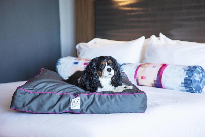 Aloft Miami Dadeland 3