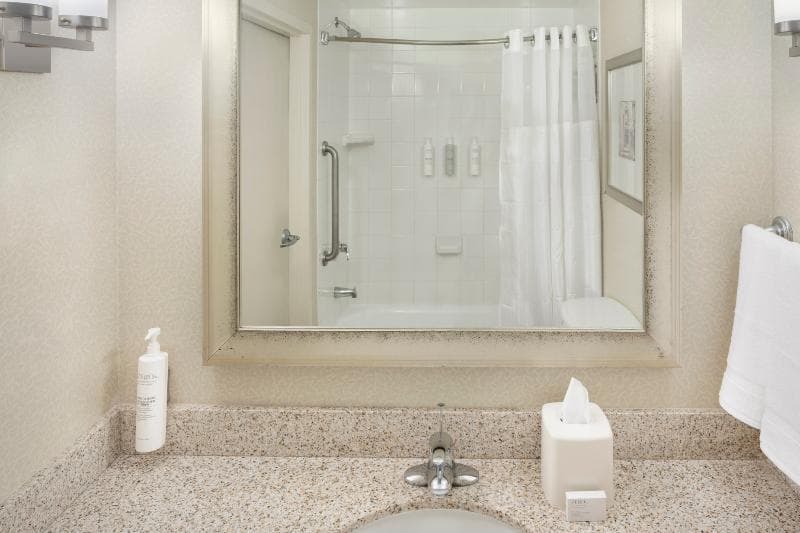 Hilton Garden Inn Miami Airport West 4