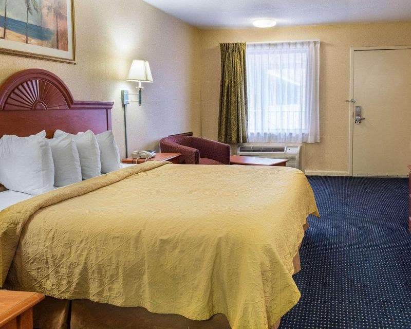 Quality Inn Little Creek 4