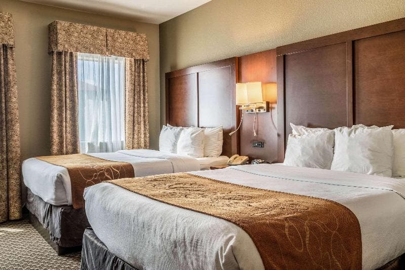 Comfort Suites Near Texas State University 4