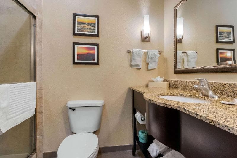 Comfort Suites Central 3