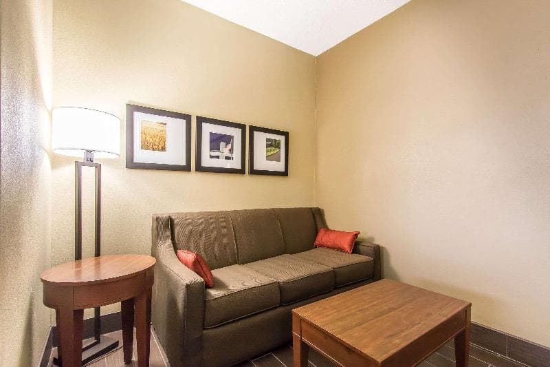 Comfort Suites Effingham 5