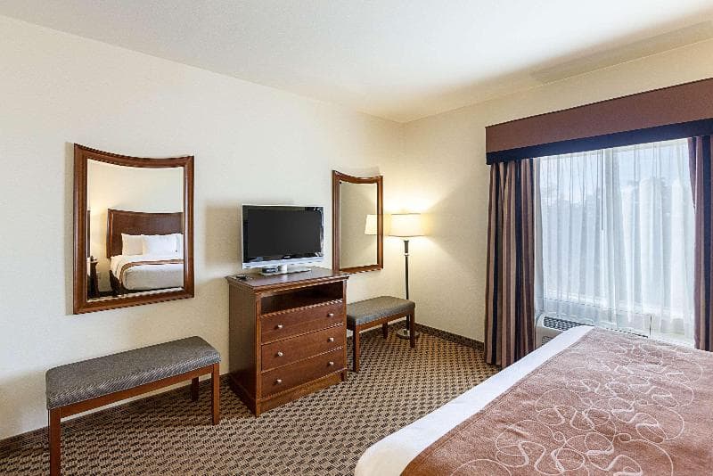 Comfort Suites Stone Oak 3