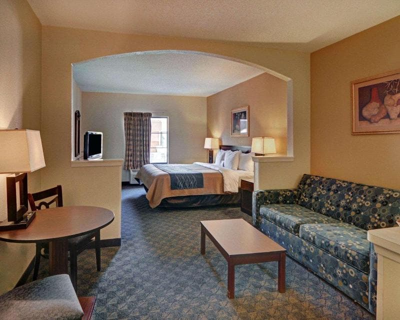 Comfort Inn Dfw Airport South 4