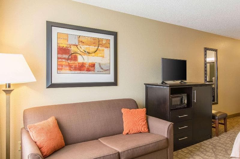 Comfort Inn East 4