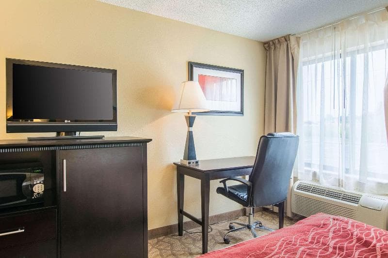 Comfort Inn East 5