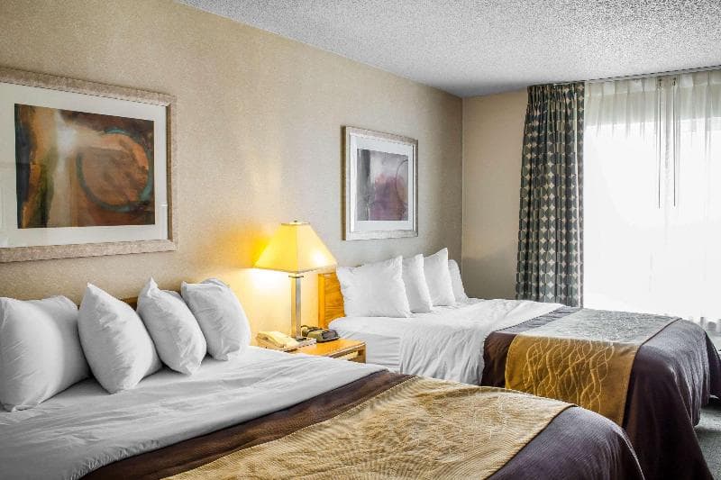 Comfort Inn 3