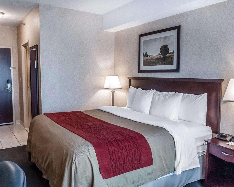 Comfort Inn Mississauga 4