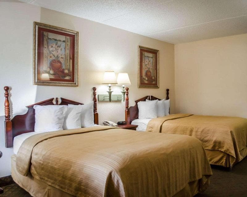 Quality Inn 5