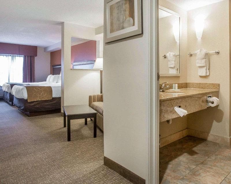 Comfort Suites Atlanta Airport 2
