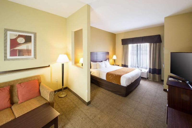 Comfort Suites Airport South 3