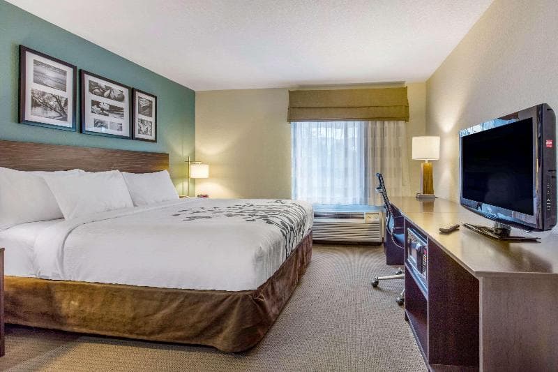 Sleep Inn And Suites Auburn 3
