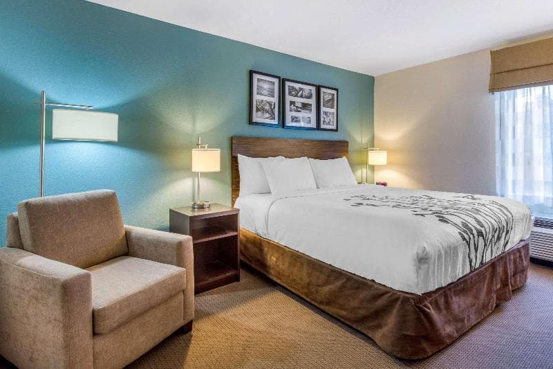 Sleep Inn And Suites Auburn 5