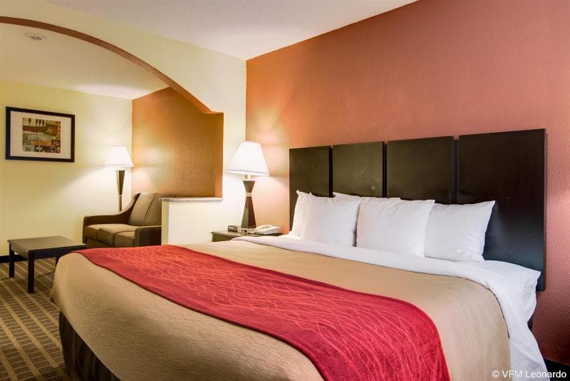 Comfort Inn & Suites Macon North I-75 4