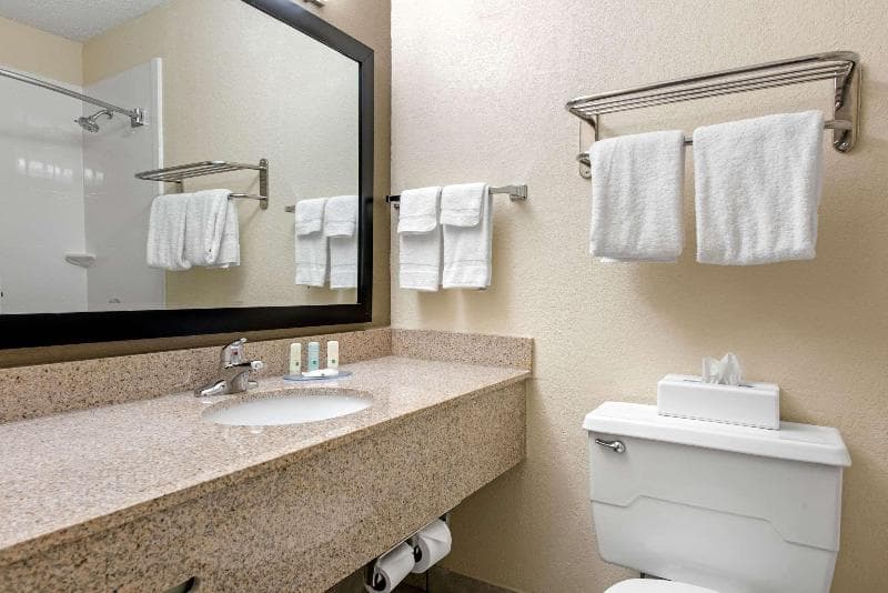 Quality Inn & Suites 5