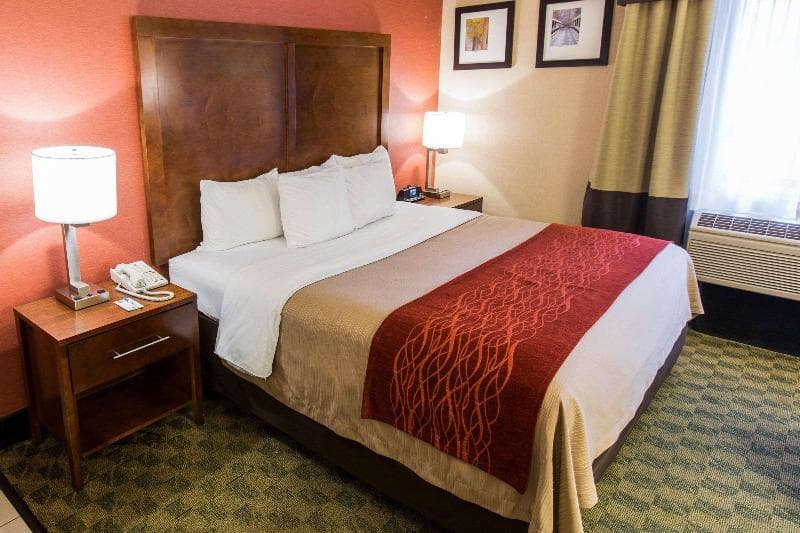 Comfort Inn & Suites 5