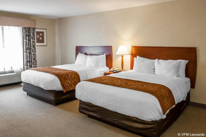 Comfort Suites South 4