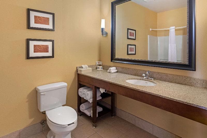 Comfort Suites Mckinney-Allen 2