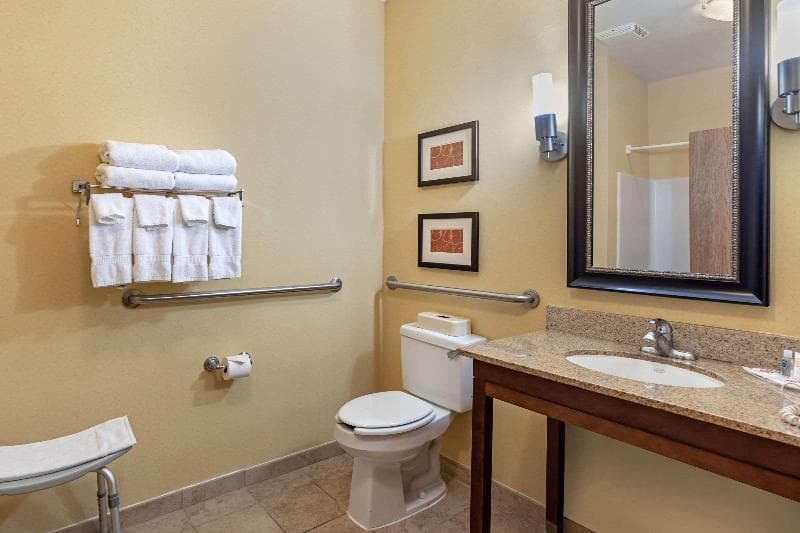 Comfort Suites Mckinney-Allen 4