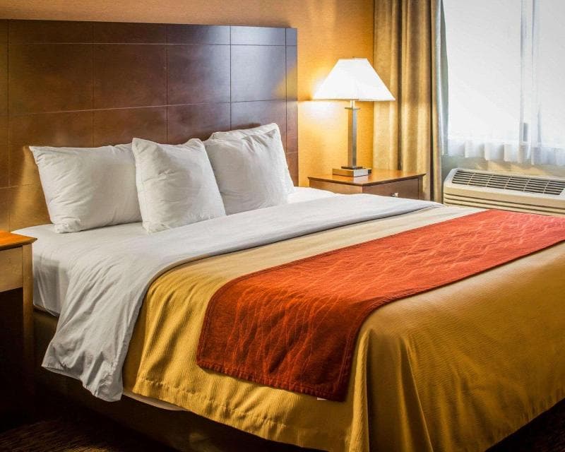 Quality Inn & Suites 4