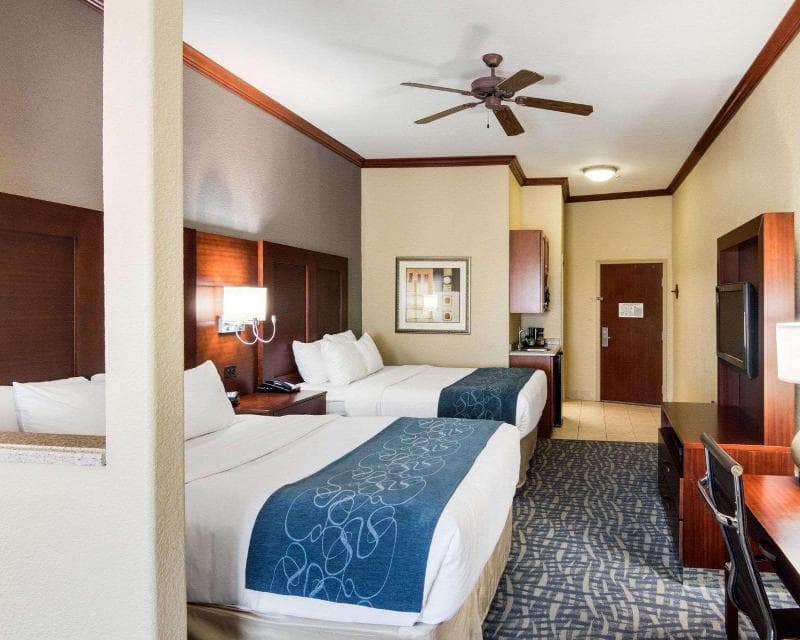 Comfort Suites Gainesville 3