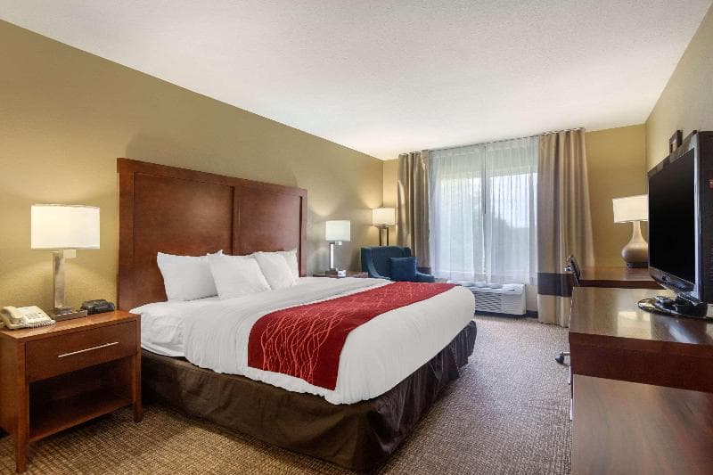 Comfort Inn & Suites 3