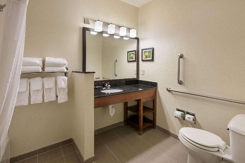 Comfort Suites Saginaw 5