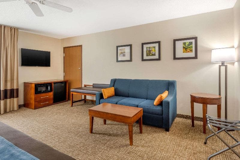 Comfort Inn Anderson 4