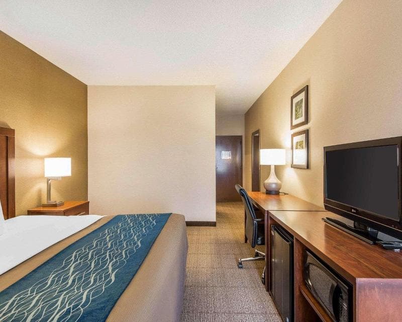 Quality Inn 5