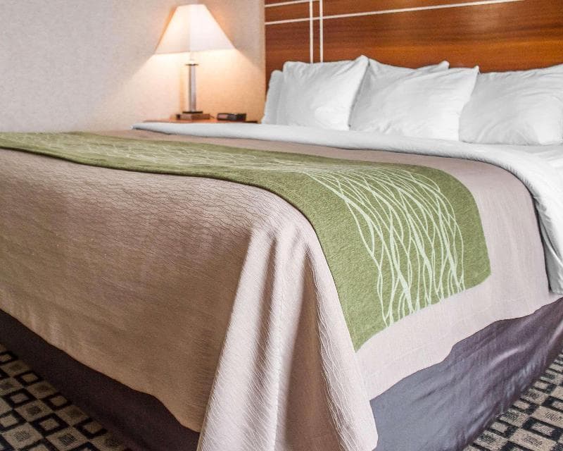 Quality Inn 4
