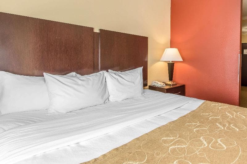 Comfort Suites Lawton Near Fort Sill 2