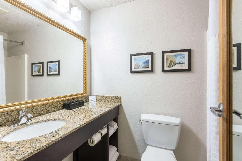 Comfort Inn & Suites Lees Summit - Kansas City 4