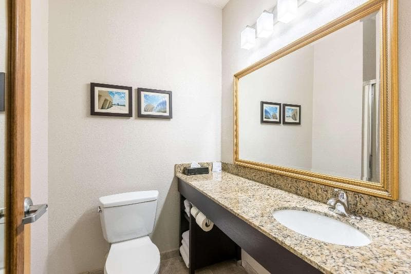 Comfort Inn & Suites Lees Summit - Kansas City 5