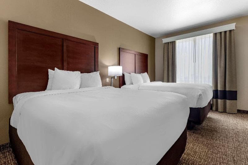 Comfort Suites Plano East - Richardson 2