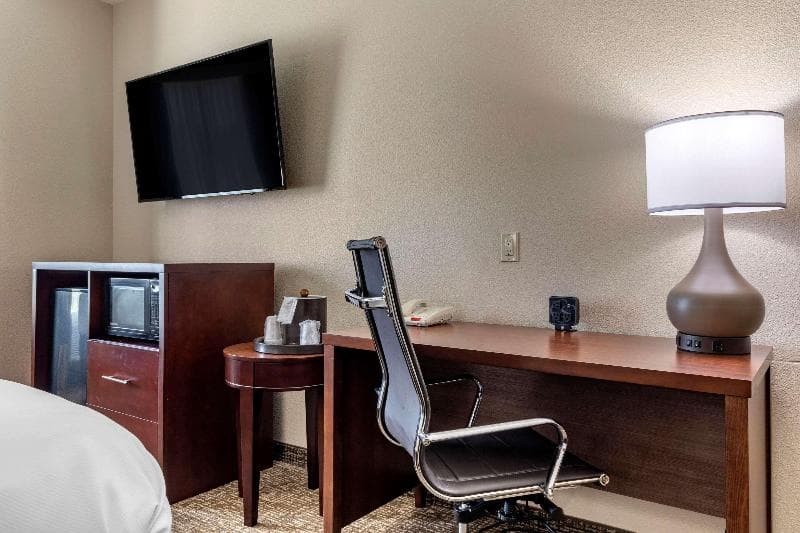 Comfort Suites Plano East - Richardson 4