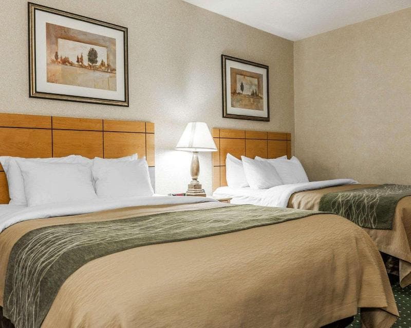 Comfort Inn Kokomo photo 1