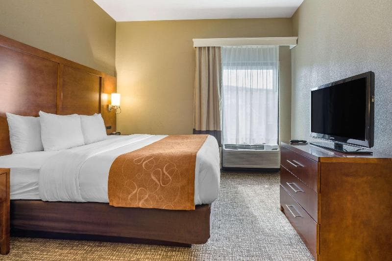Comfort Suites Bethlehem Near Lehigh University & LVI Apt 4