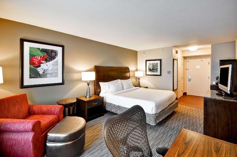 Hilton Garden Inn Tampa North 3