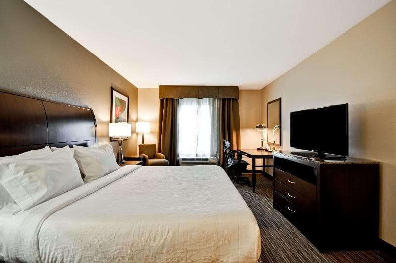 Hilton Garden Inn Tampa North 5