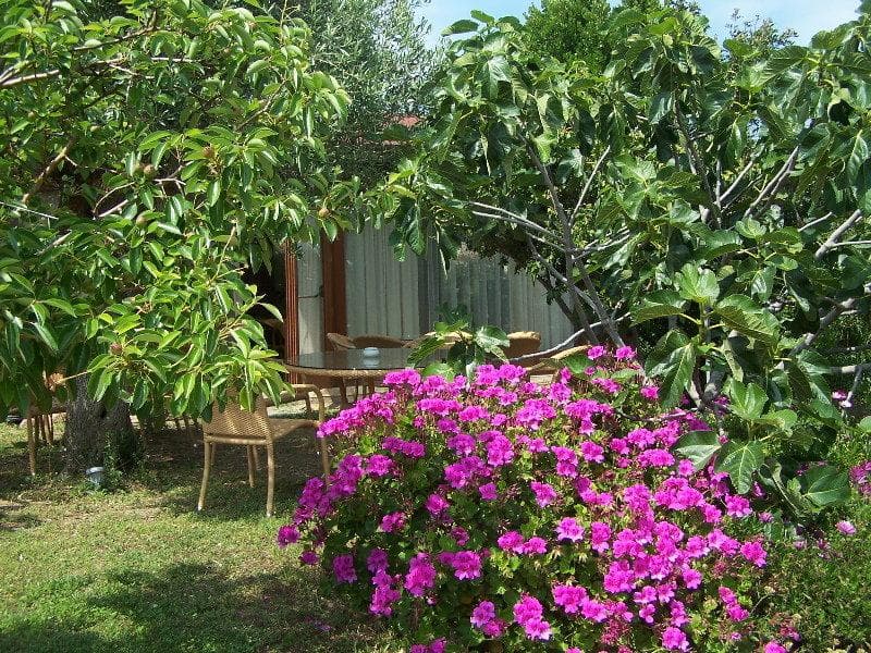 Club Hotel Ragno D'oro 3