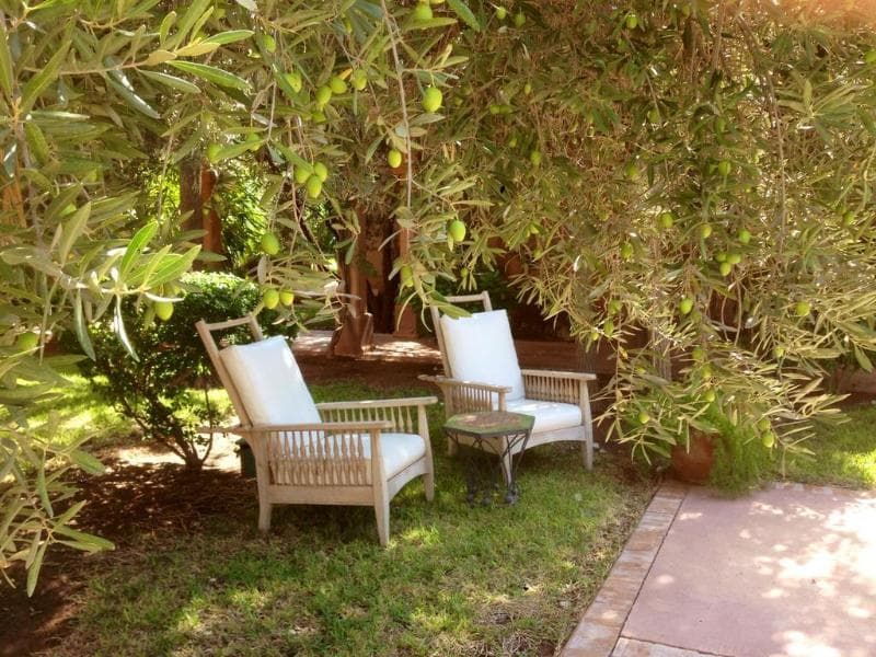 Villa Al Assala la Palmerale photo 1