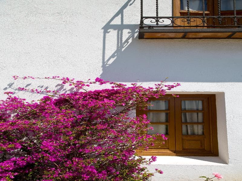 Villa de Priego de Córdoba 4