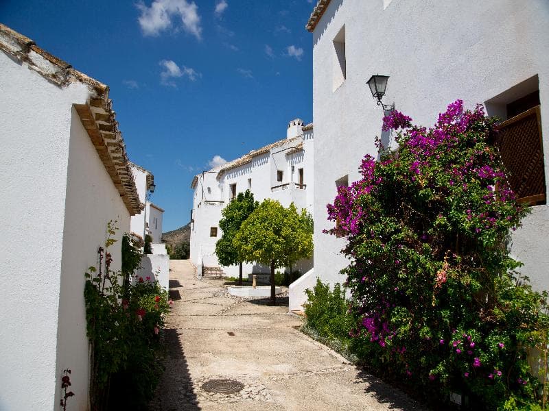 Villa de Priego de Córdoba 5