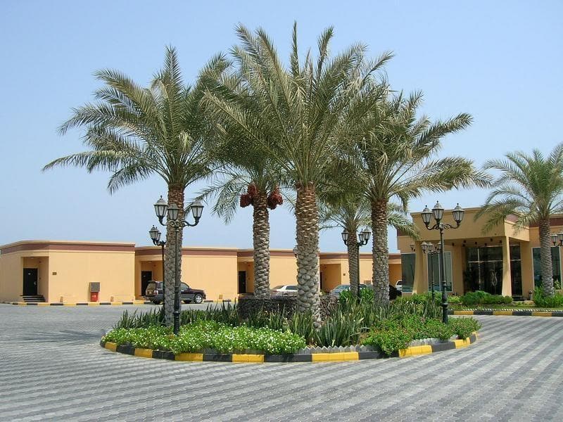 Royal Beach Hotel & Resort 4